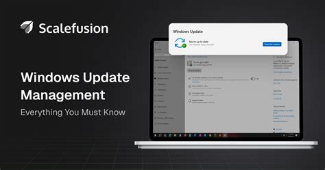 Windows Update Management 的图像结果