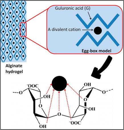 Sifat Fisikokimia Natrium Alginat - Ilustrasi 1