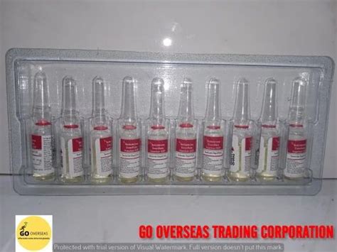 Steroid And Hormones - Testosterone Enanthate 250mg Injection Trader ...