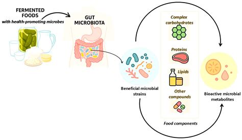 https://pub.mdpi-res.com/foods/foods-14-02361/article_deploy/html/images/foods-14-02361-g001.png?1751537477=
