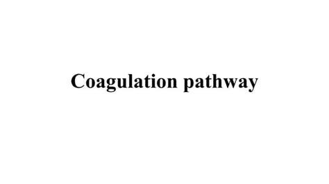 Image result for Coagulation Pathway Explained