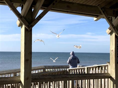 Top 3 things to do in Atlantic Beach, North Carolina