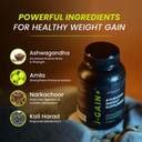 Ayuvya Ayurvedic i-Gain+ Weight & Mass Gainer Supplement| 90_Tablets ...