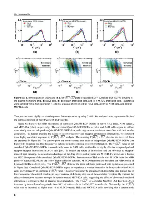Optics Express Algorithm Template 的图像结果