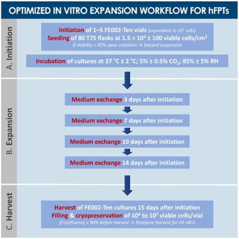 Industrial Development of Standardized Fetal Progenitor Cell Therapy ...