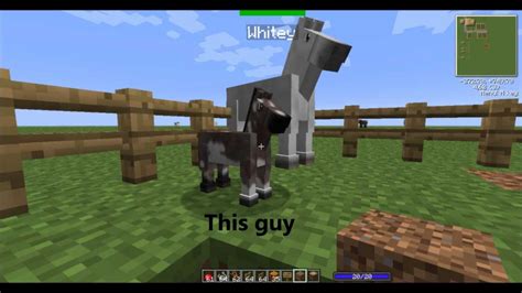 Image result for Mo' Creatures Breeding Guide