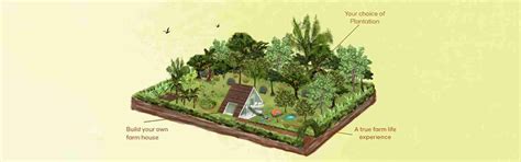 What is a Managed Farmland? - Hosachiguru Managed Farm land