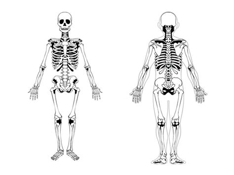 OS Corps 的图像结果