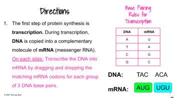 Image result for Protein Synthesis Practice HS LS1 1
