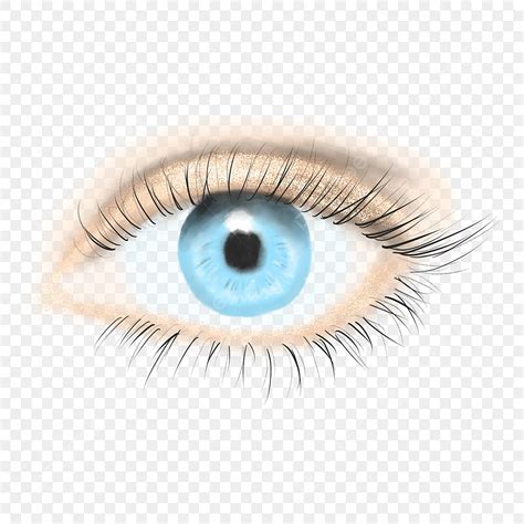 藍色眼睛圖案素材 | PNG和向量圖 | 透明背景圖片 | 免費下载 - Pngtree