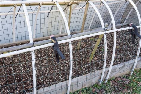 Image result for PVC Pipe Cold Frame