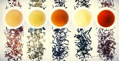 Resultado de imagen de different types of tea flavors