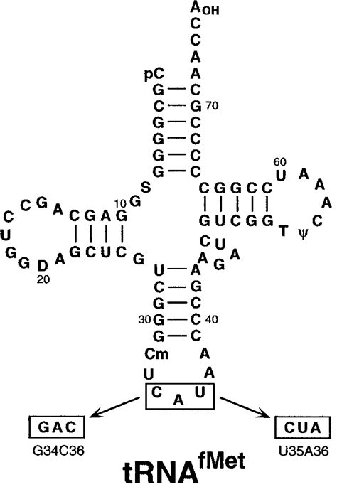 Labels KeyShot 的图像结果