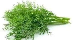 Aywal Fresh Soya Saag F1 Hybrid Vegetable Seed Price in India - Buy ...