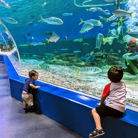 The best places to visit in manila with kids