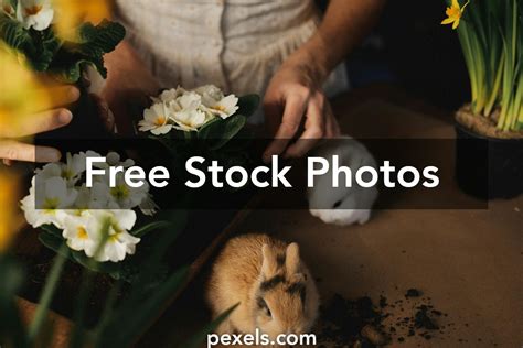 Image result for Friday Spring Fun