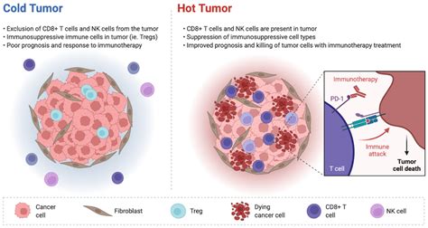 Immune Checkpoint Inhibitors and Mismatch Repair Status in Advanced ...