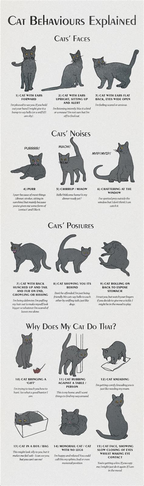 Image result for JavaScript Visual Guide