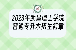 2022年武昌理工学院报考指南文字版-FLBOOK