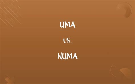 Image result for Numa Numa Multilanguage