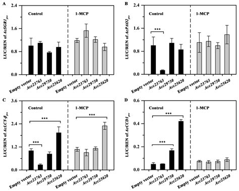 The Effect of 1-MCP on the Expression of Carotenoid, Chlorophyll ...