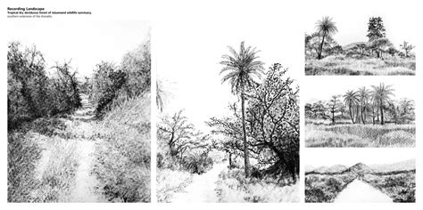 A Forest of intertwined Emotions. | CEPT - Portfolio