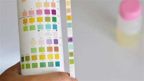 IIT Mandi researchers develop instrument for checking albumin level in ...