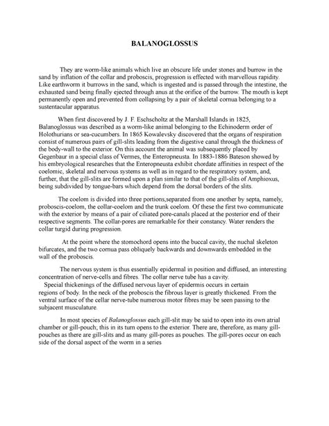 Balanoglossus strcture - BALANOGLOSSUS They are worm-like animals which ...