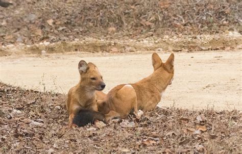 Snapseed Lanscape QR look- Presets | by sajeesh radhakrishnan | Pixel ...