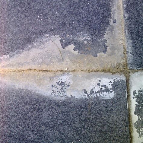 Image result for Efflorescence Repair