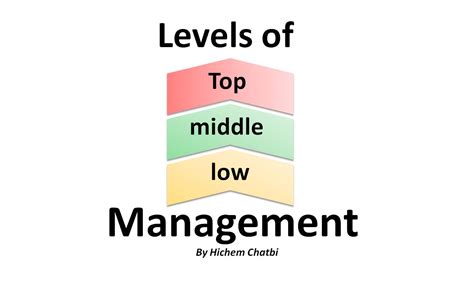 Management Level Chart 的图像结果