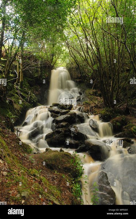 Waterfall Side View 的图像结果