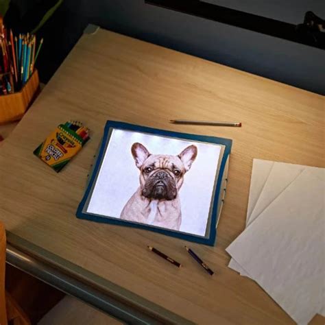 Crayola Light Up Tracing Pad — Toycra