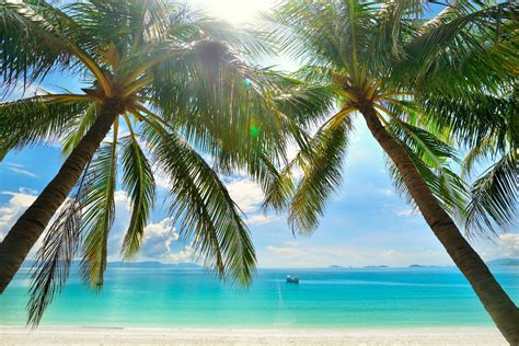 Image result for Beach Python Code