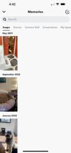 Image result for Snapchat Memory