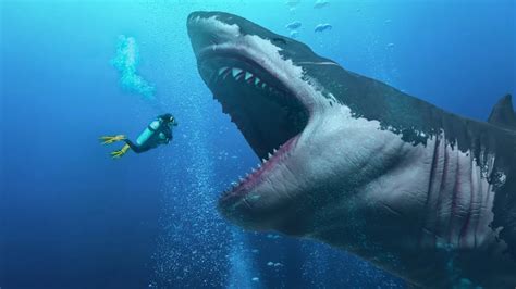 Megalodon was not like gigantic great white shark: Study