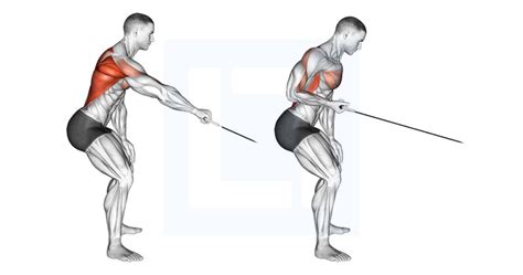 Image result for Inverted Row Workout