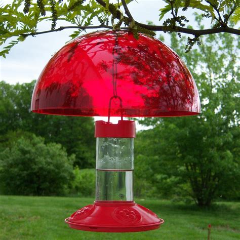Hummingbird Feeders — Birdertown