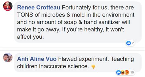 Image result for Hand Washing Experiment with Bread