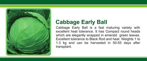 Pariposa Seeds India Pvt. Ltd.