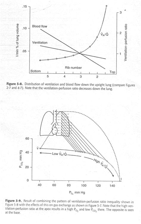 Respiratory Physiology – Part 2 : WFSA - Resources