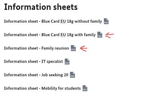 Image result for Bluecard Application Process