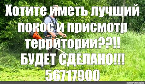 Создать мем "майкоп покос травы, покос травы спил деревьев уборка ...