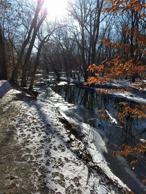 Bonnabel Nature Park - Old Tappan, NJ 07675 - Hours, Directions, Reviews