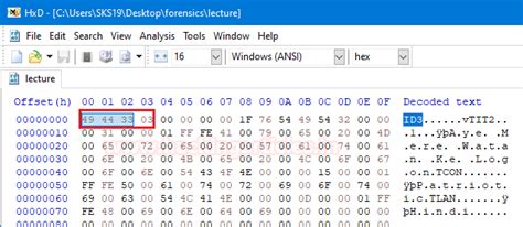 Forensic Investigation: Examining Corrupted File Extension