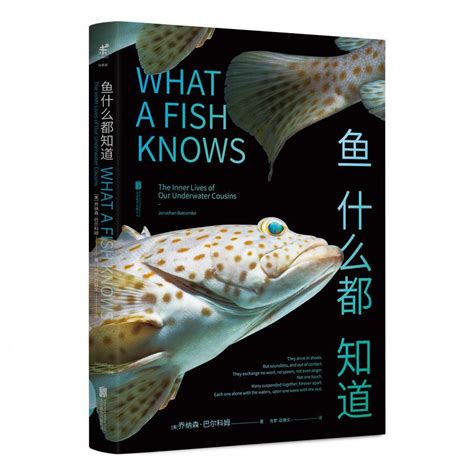 为什么说鱼的记忆只有7秒 关于鱼的记忆只有7秒介绍_知秀网