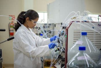 Downstream process characterization | Enzene Biosciences Ltd.