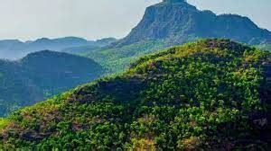 MP Weather Update: Pachmarhi Records Coldest Night, Weather Scientists ...