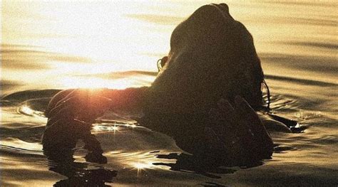 How to Feel Your HOTTEST – ISLET