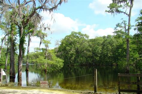 0 NE 127th St, Branford, FL 32008 [Lot/Land] | Homes.com
